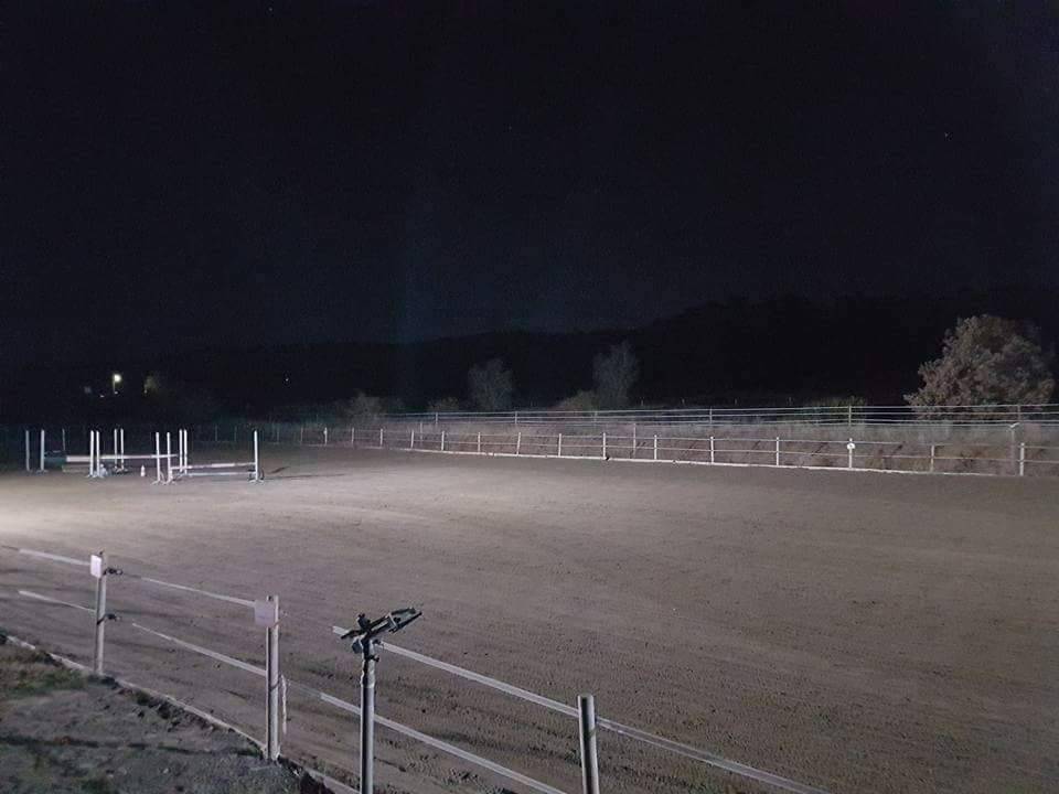 Pension chevaux la barque (  fuveau )