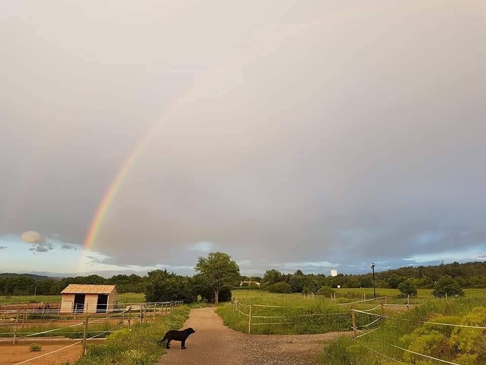 Pension chevaux la barque (  fuveau )