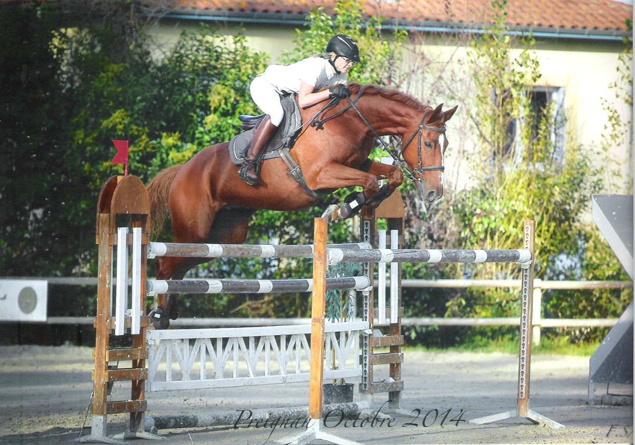 ECURIE DE PROPRIETAIRES, CENTRE EQUESTRE, PONEY CLUB