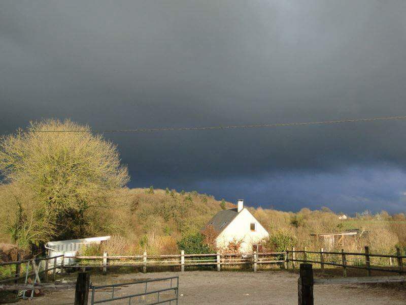 Ecurie de Propriétaires/ Coaching 