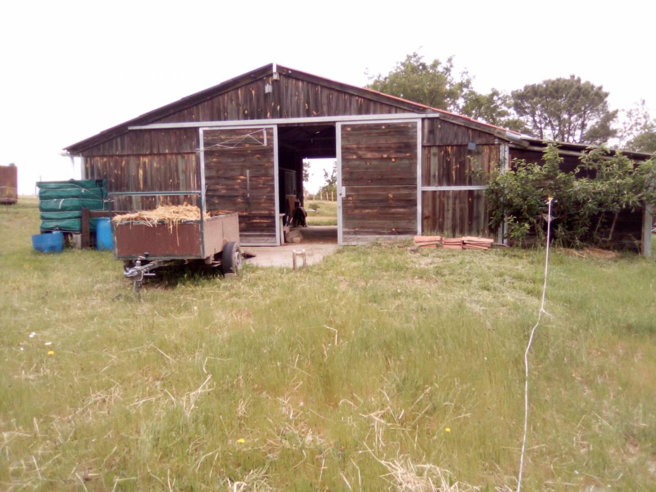 Méaras Ecuries Graulhet Tarn