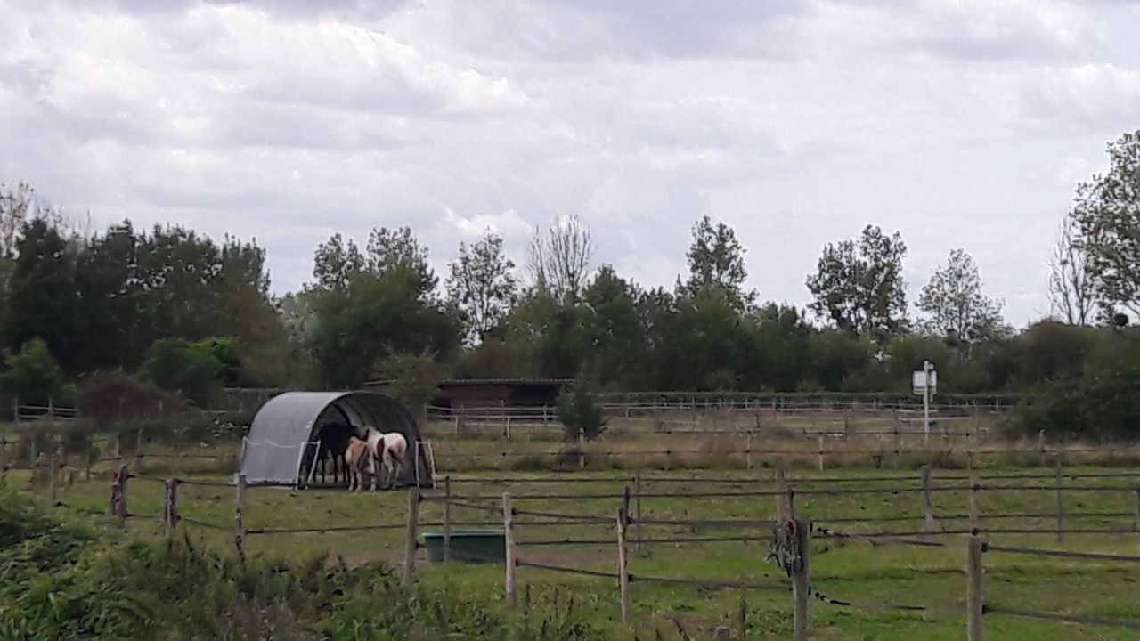 Pension pré et/ou box