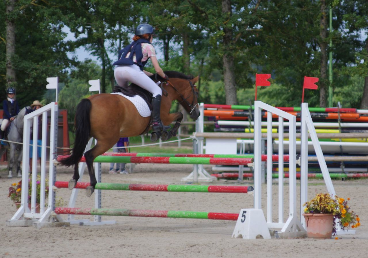 Ponette de sport excellentes origines