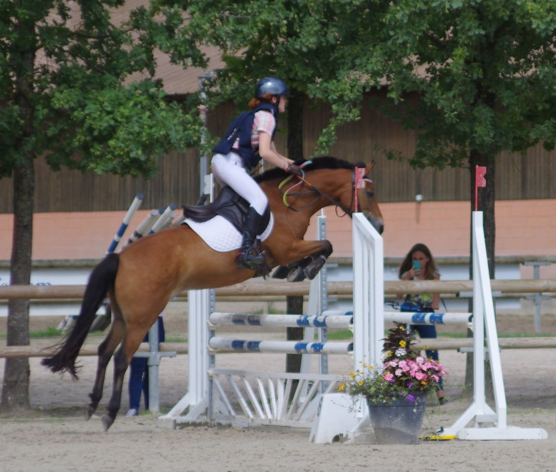 Ponette de sport excellentes origines