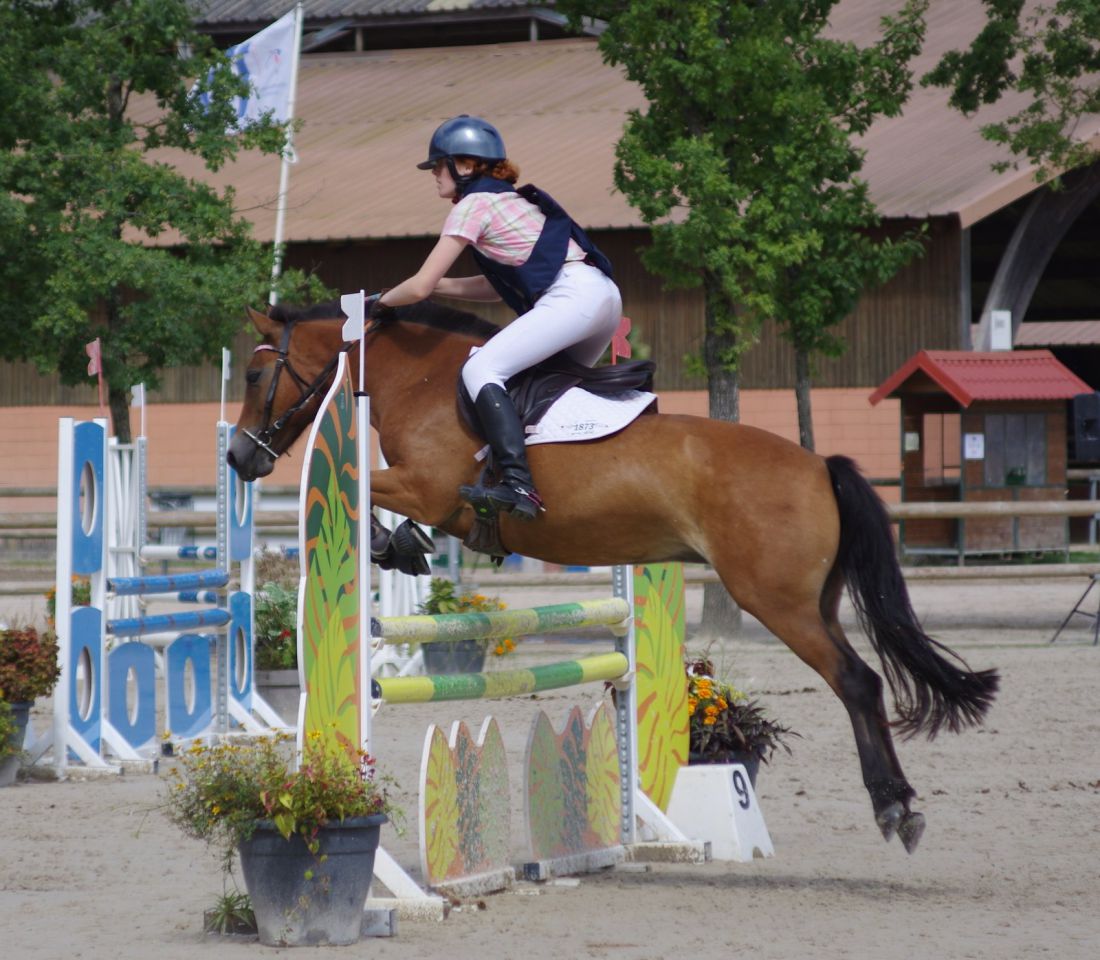 Ponette de sport excellentes origines
