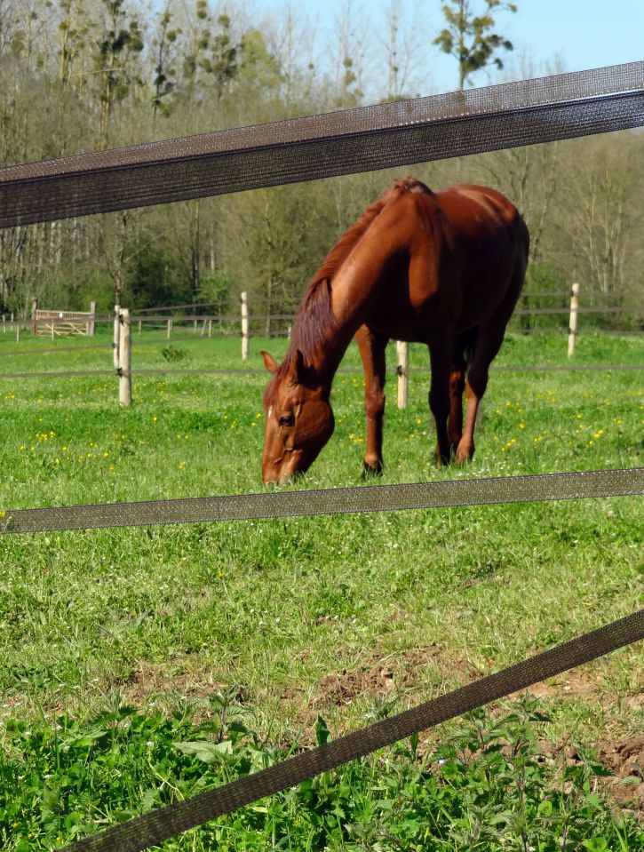 Pension dans un &eacute;crin de verdure &agrave; 15 mn de Niort