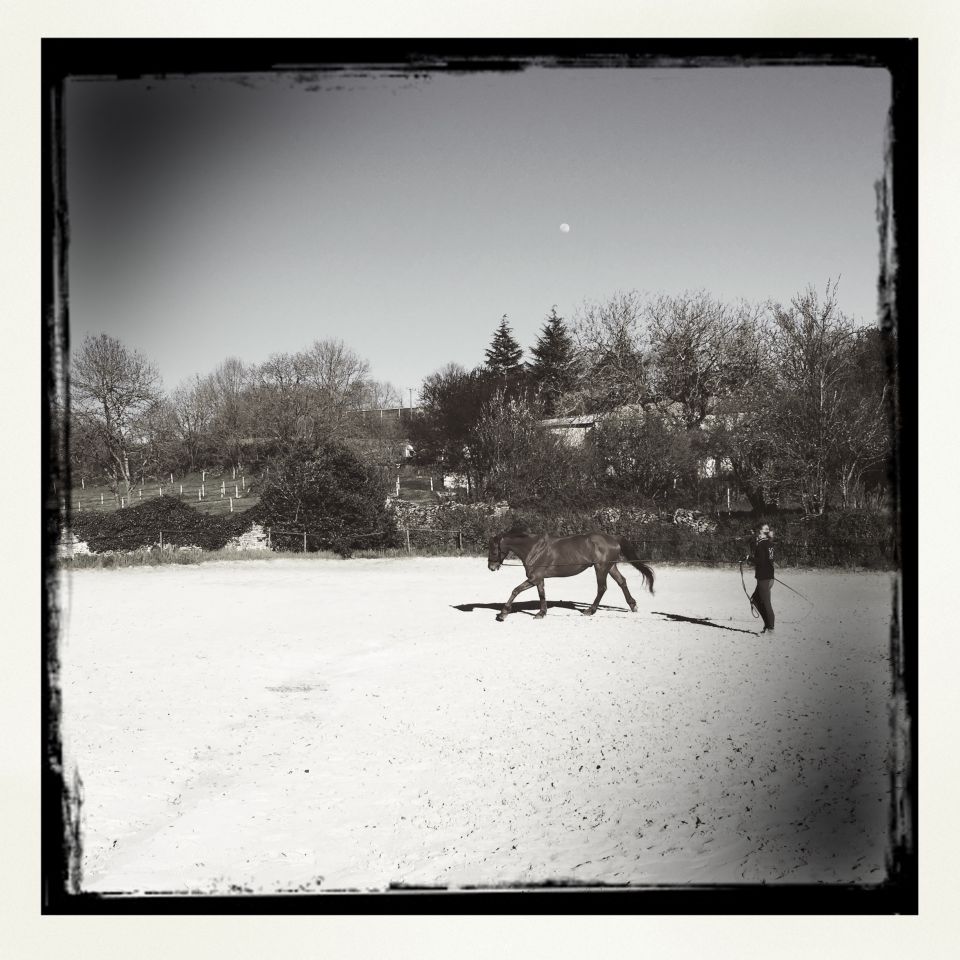 Pension dans un &eacute;crin de verdure &agrave; 15 mn de Niort