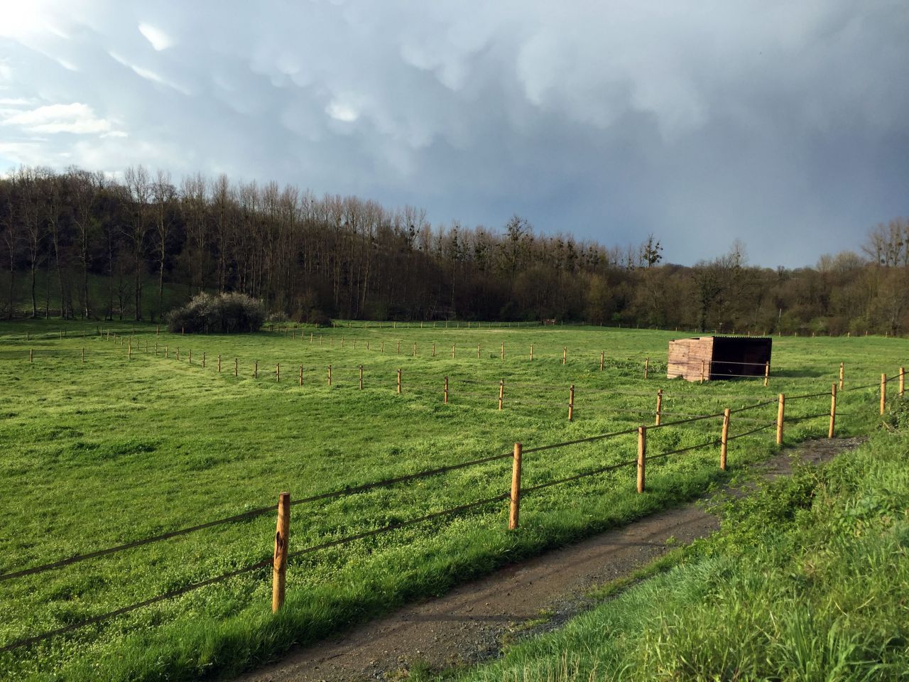 Pension dans un &eacute;crin de verdure &agrave; 15 mn de Niort