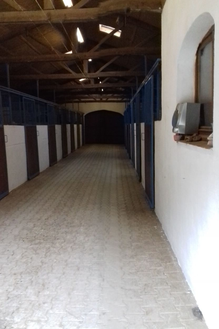 Pension et pension dressage 