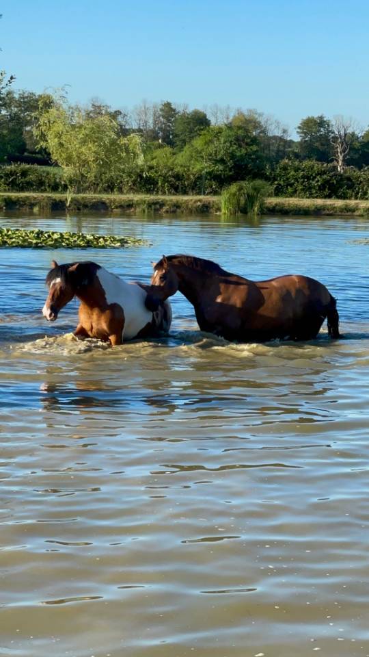 Pension retraite a la ferme