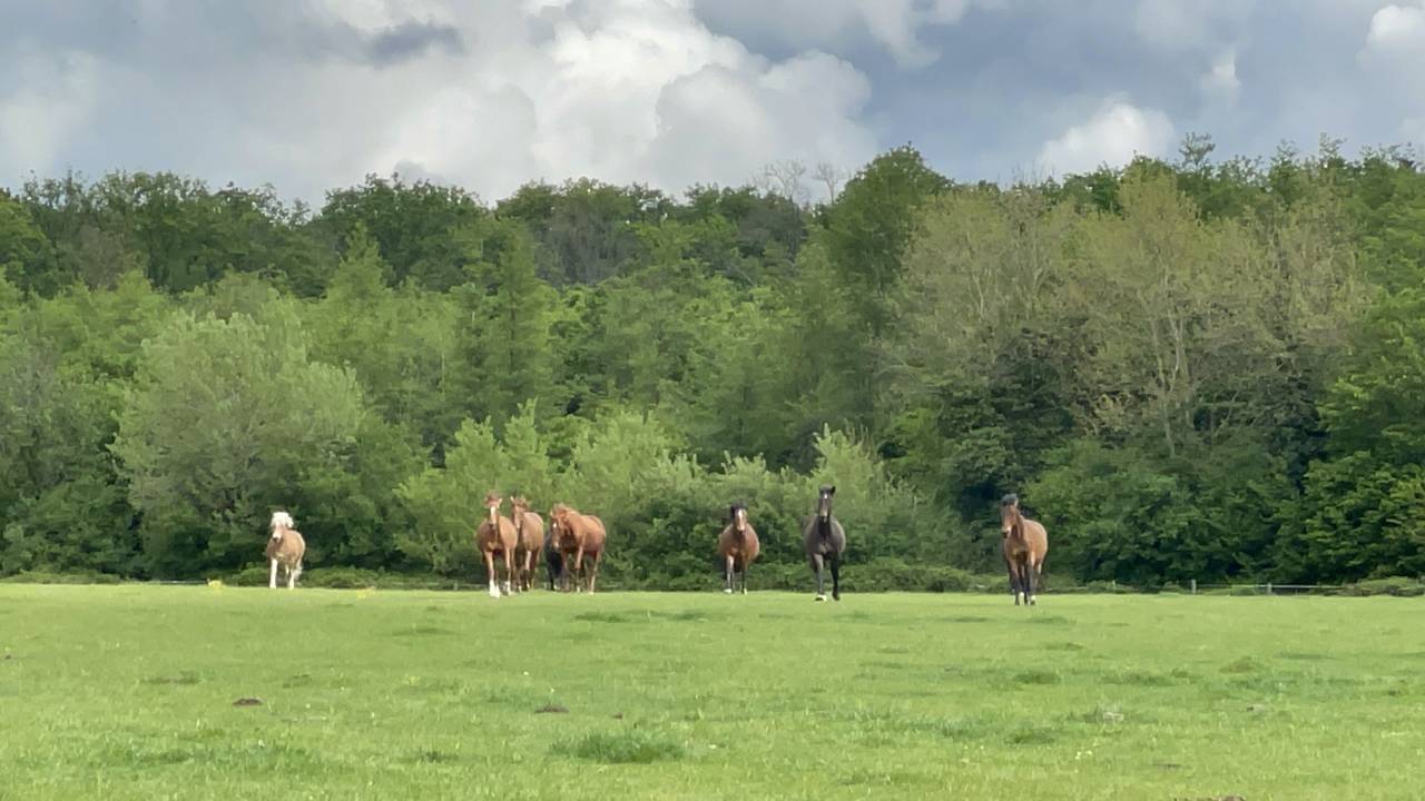 Pension retraite a la ferme