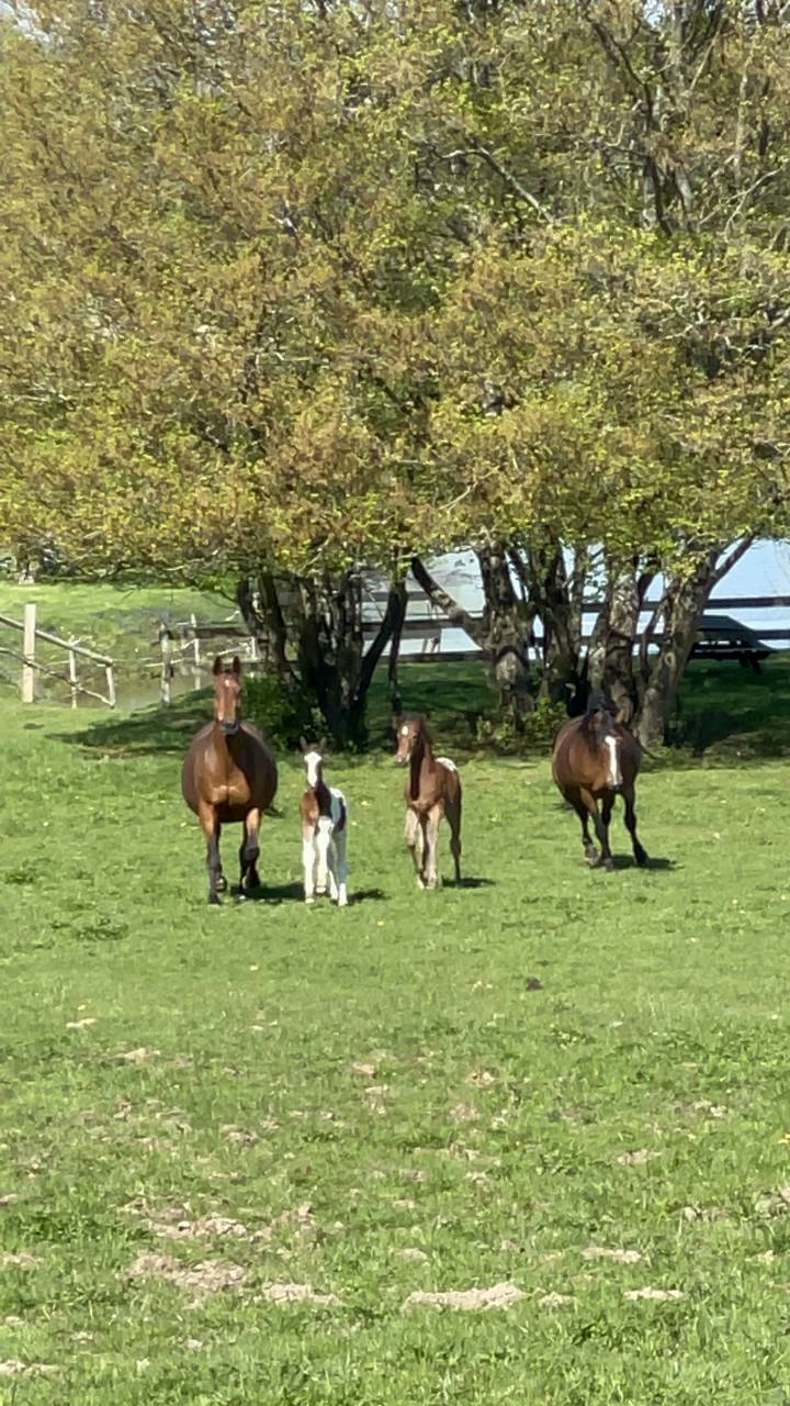 Pension retraite a la ferme