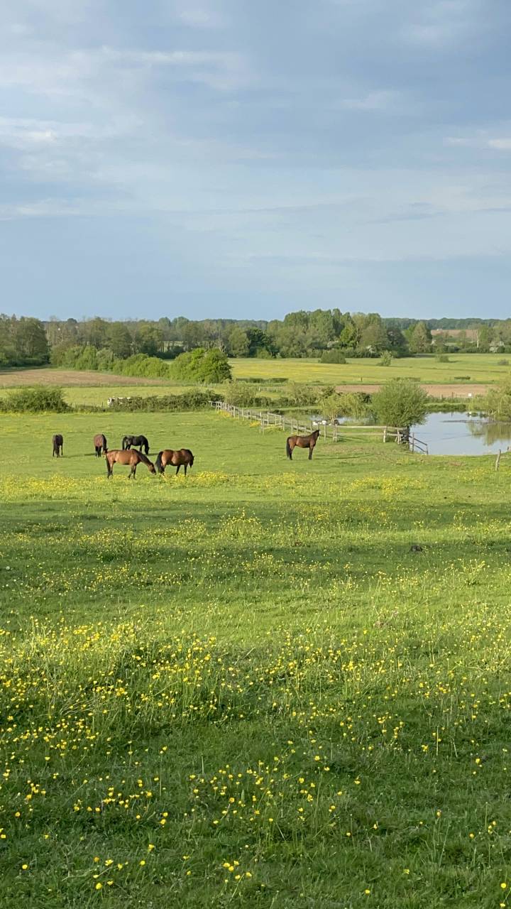 Pension retraite a la ferme