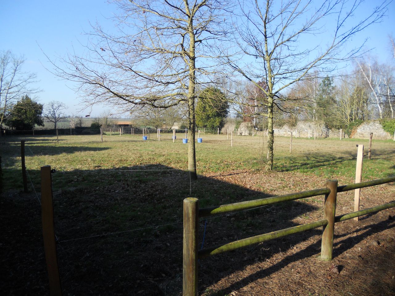 ACTIVIT&Eacute;S DE PENSION, ENSEIGNEMENT, COMPETITIONS