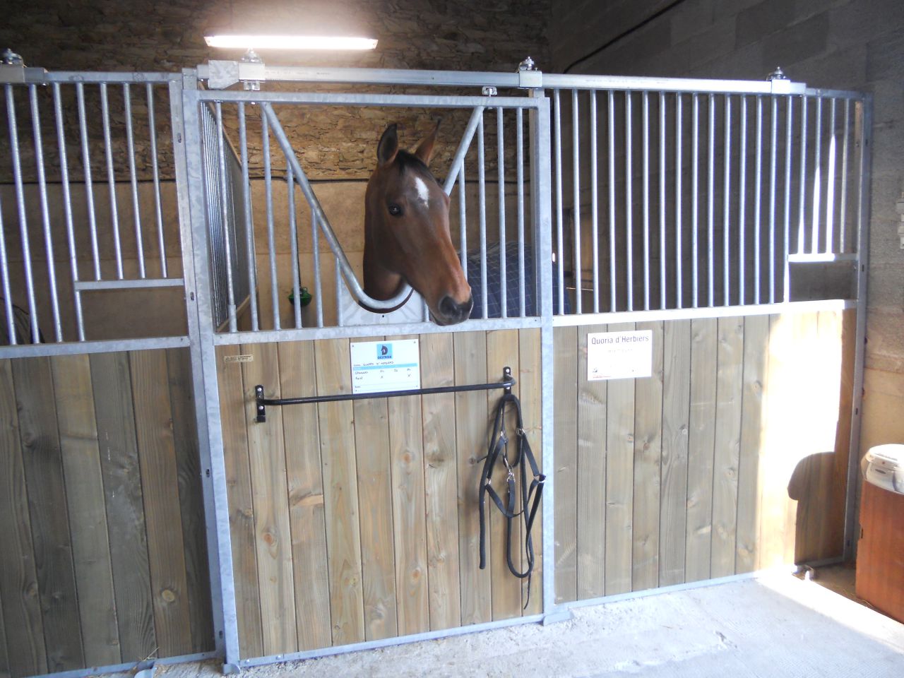 ACTIVIT&Eacute;S DE PENSION, ENSEIGNEMENT, COMPETITIONS