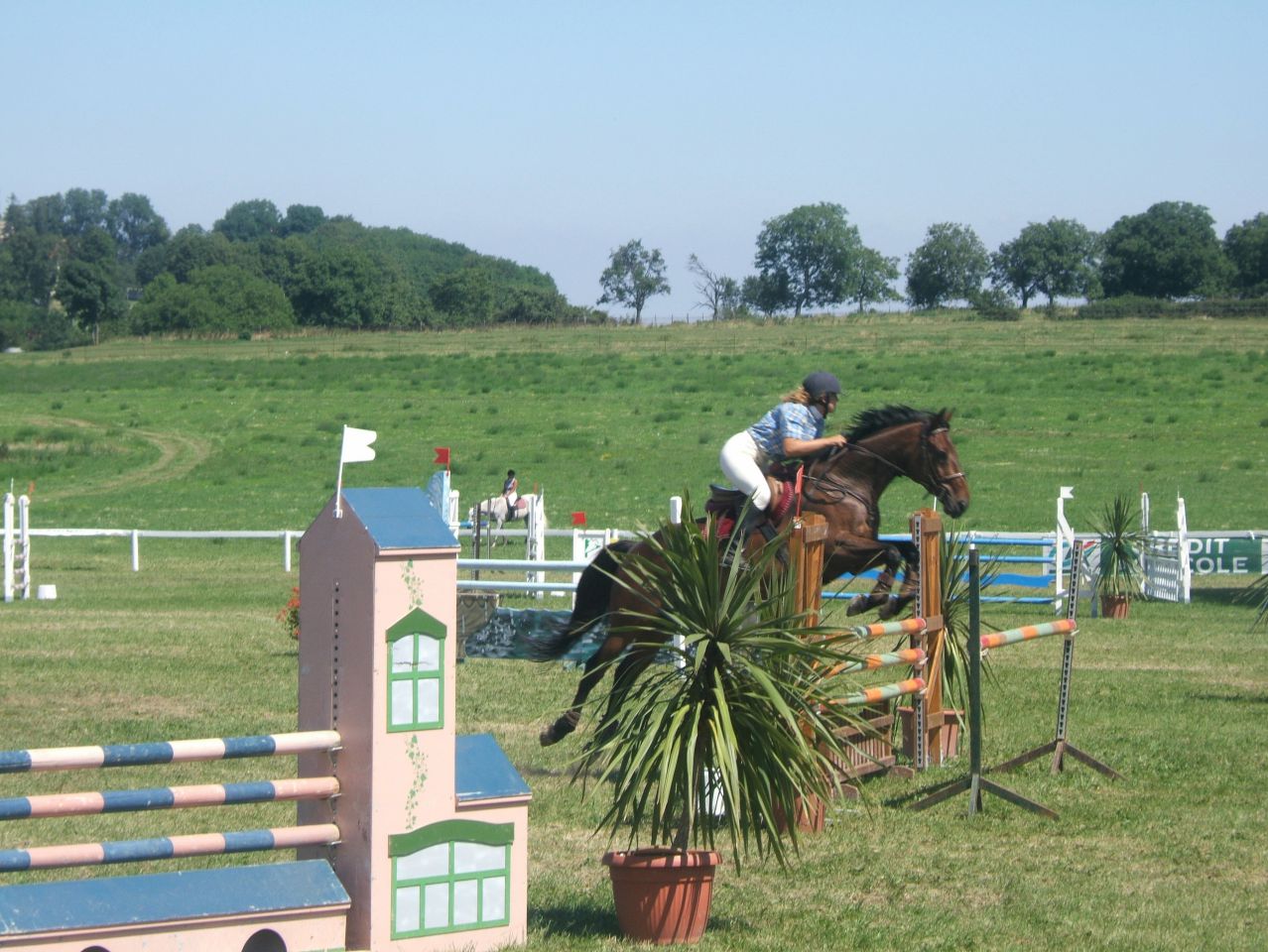 Pension / Retraite /Cheval 