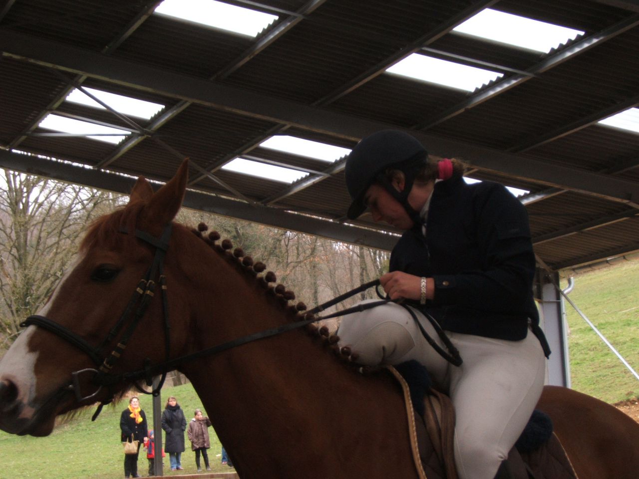 Pension / Retraite /Cheval 