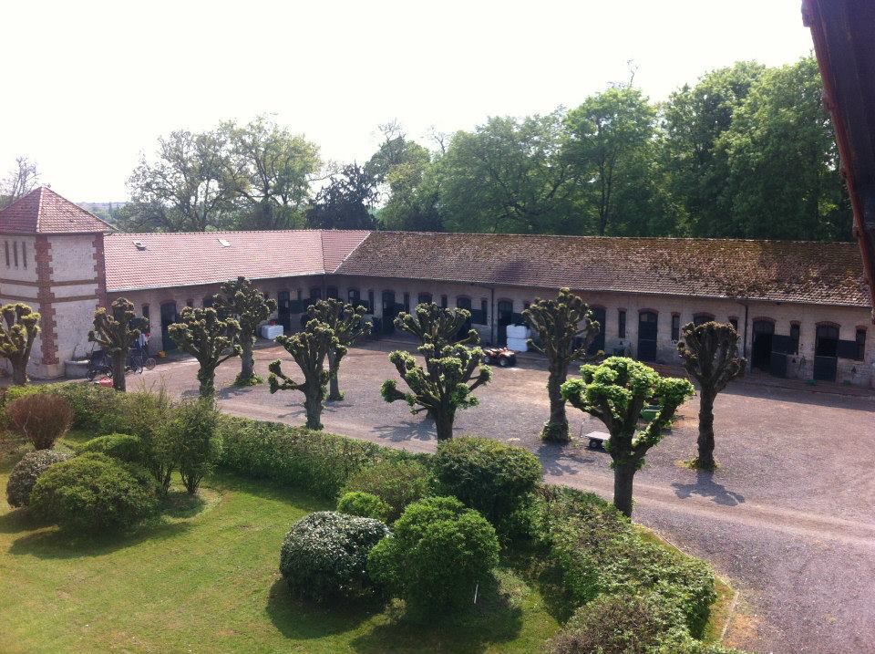 Barn et boxes disponible pour professionel