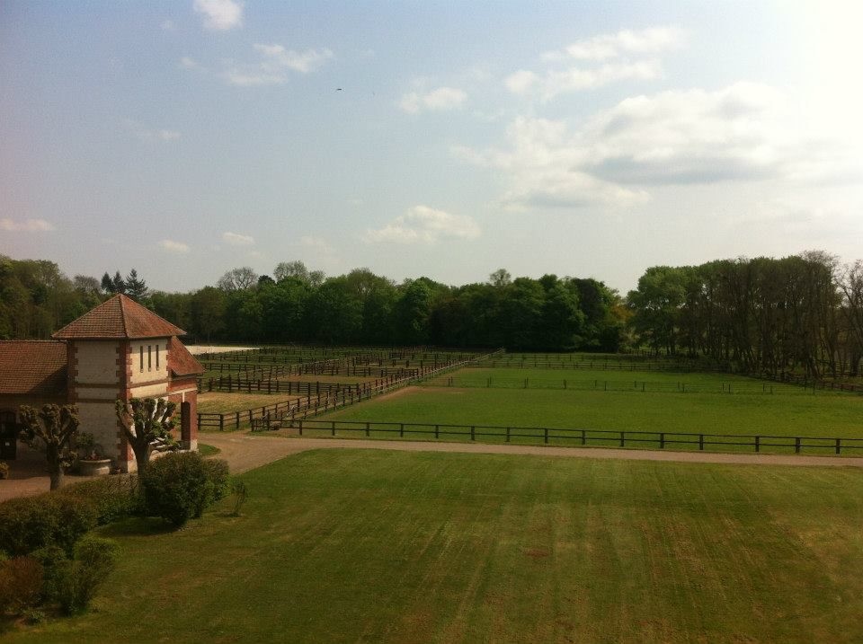 Barn et boxes disponible pour professionel