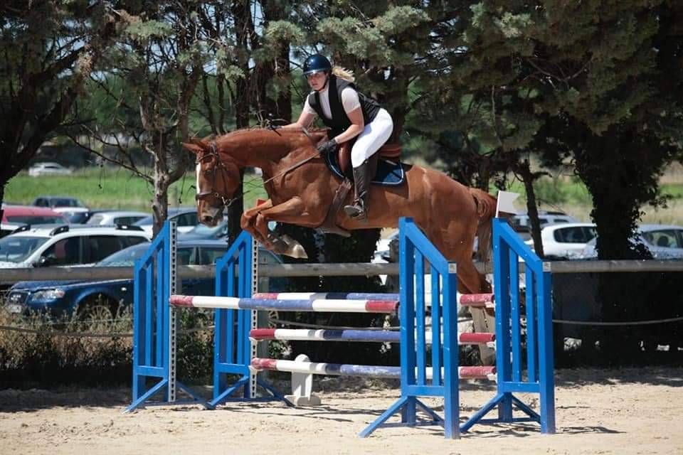 Pension chevaux Montpellier