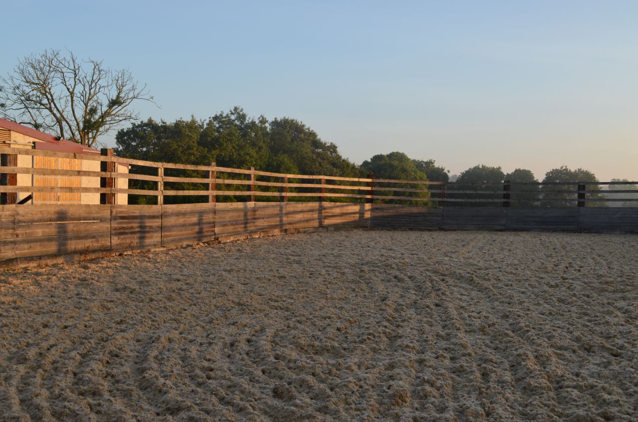 Pension chevaux - HARAS DU CHIRON 85