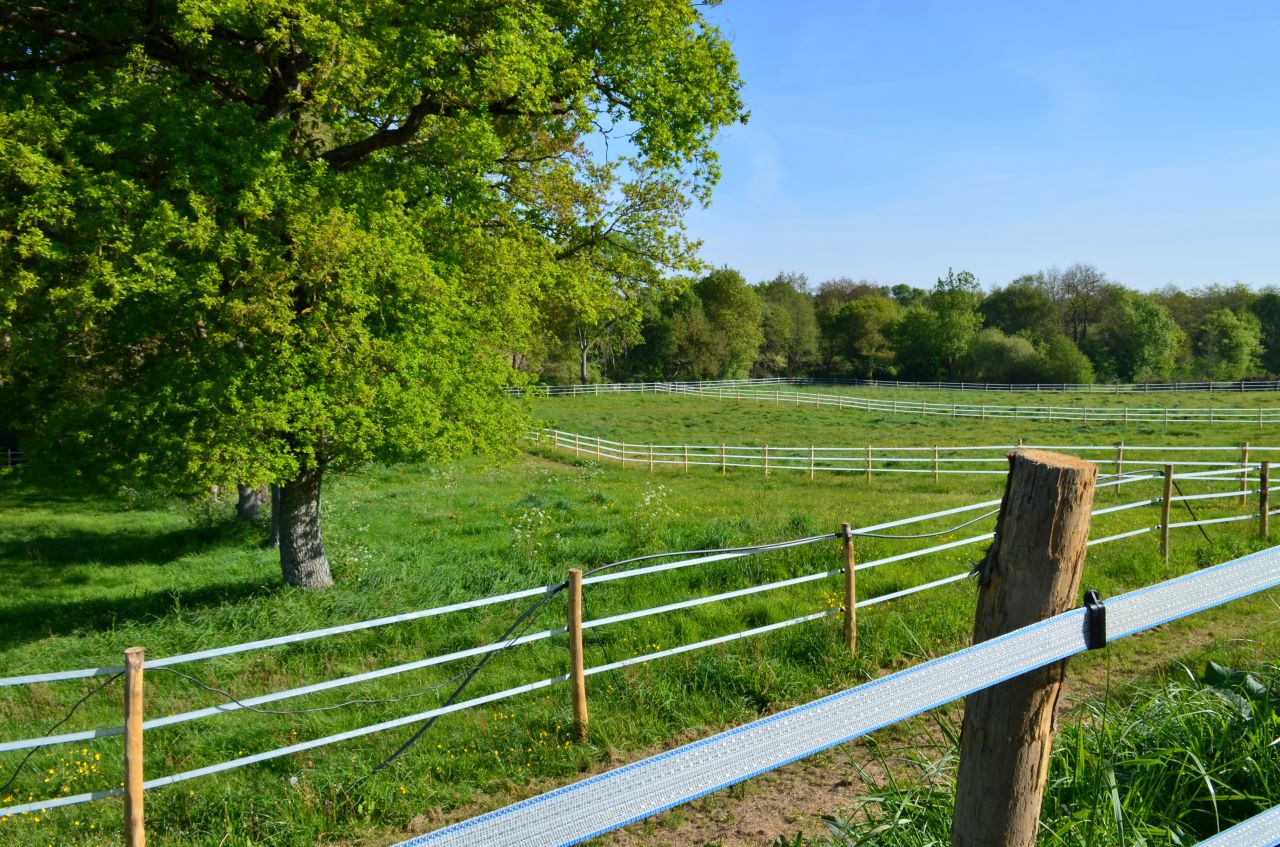 Pension chevaux - HARAS DU CHIRON 85
