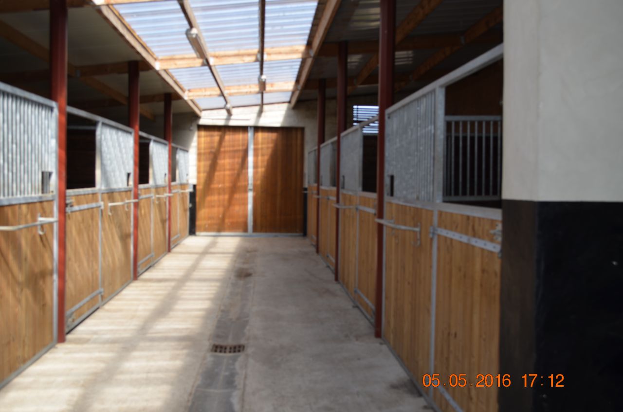 Pension chevaux - HARAS DU CHIRON 85