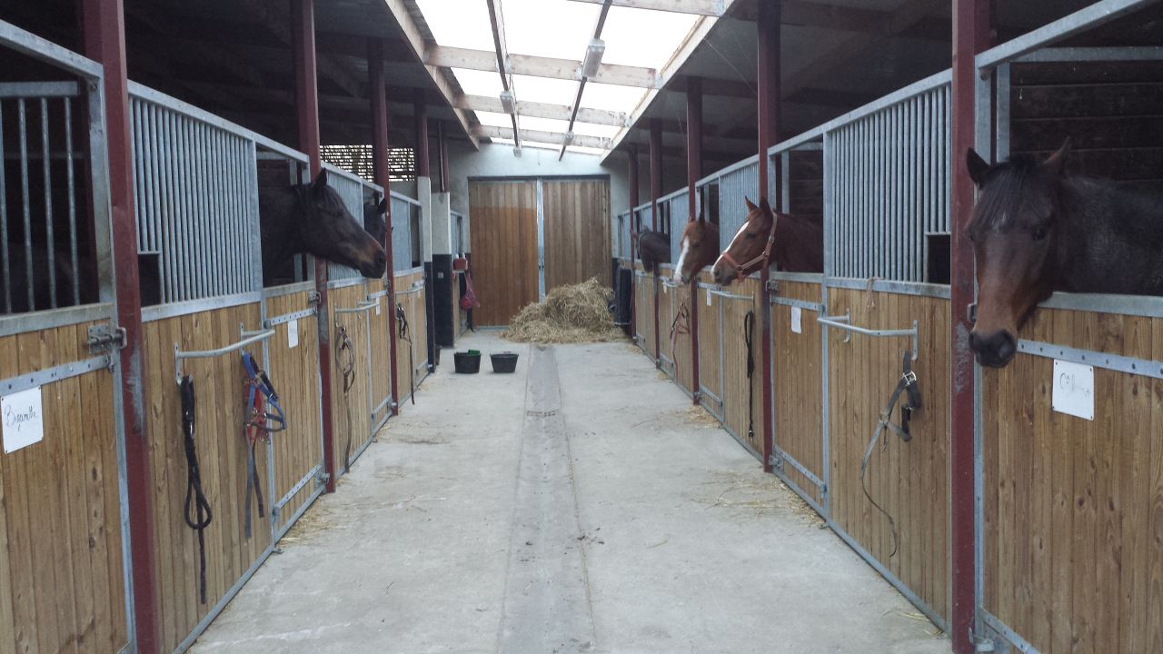 Pension chevaux - HARAS DU CHIRON 85