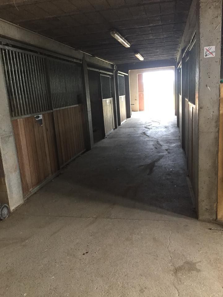 Ecurie de Propriétaire , Entrainement sur piste