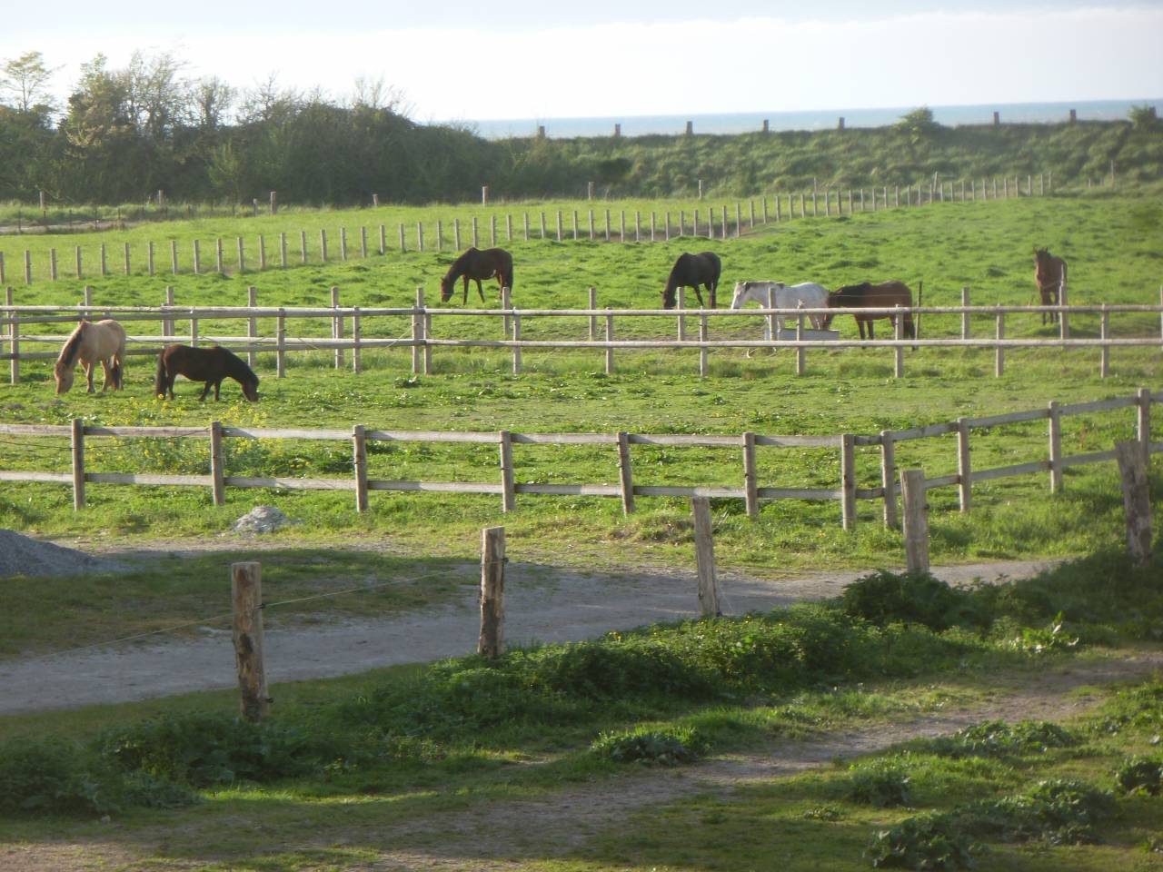 Pension chevaux/ plage baie du Mont St Michel 200&euro;