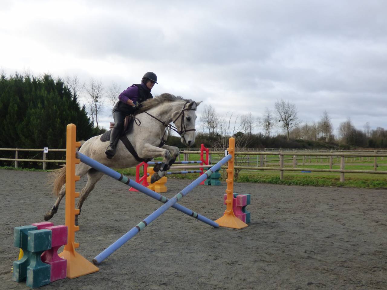 Pension chevaux/ plage baie du Mont St Michel 200&euro;