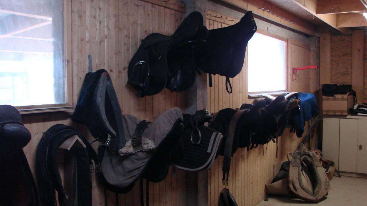 Pension chevaux/ plage baie du Mont St Michel 200&euro;