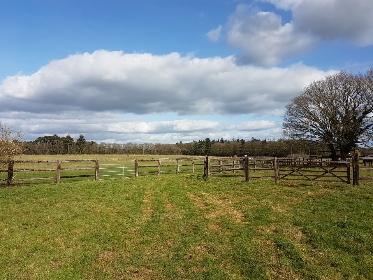 Pension,&Eacute;levage : Haras du Feu, Ecurie Ancelin