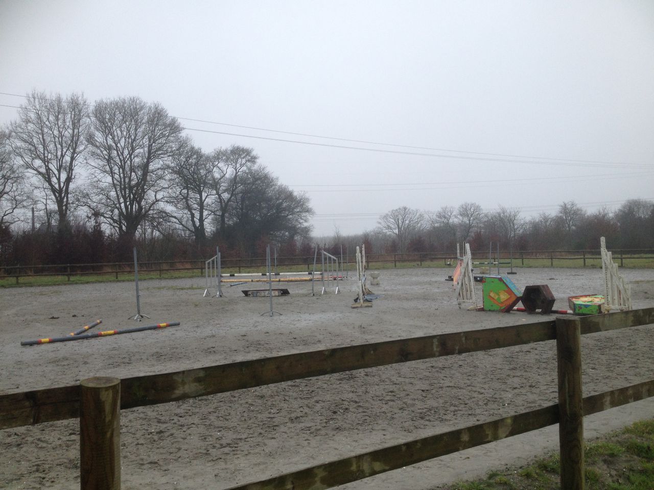 Pension,&Eacute;levage : Haras du Feu, Ecurie Ancelin