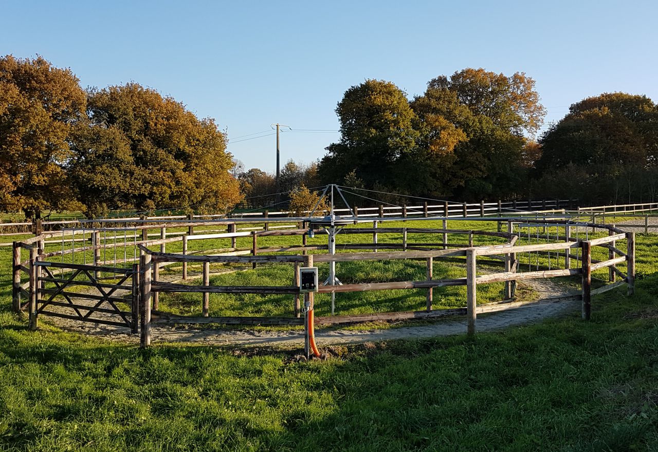 Pension,&Eacute;levage : Haras du Feu, Ecurie Ancelin