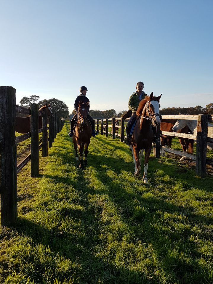 Pension,&Eacute;levage : Haras du Feu, Ecurie Ancelin