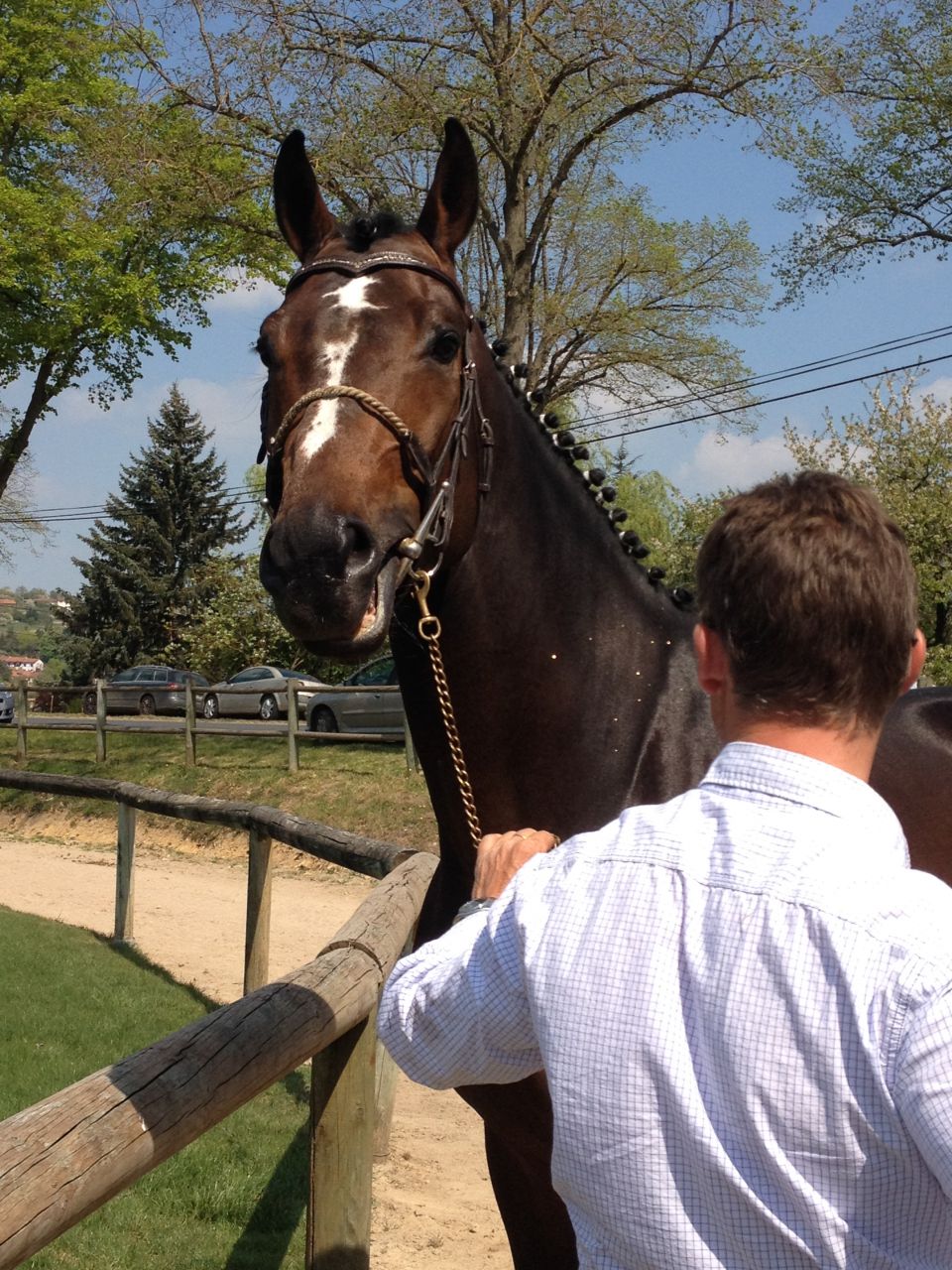 Pension,&Eacute;levage : Haras du Feu, Ecurie Ancelin