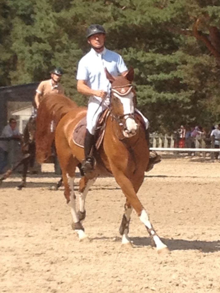 Pension,&Eacute;levage : Haras du Feu, Ecurie Ancelin