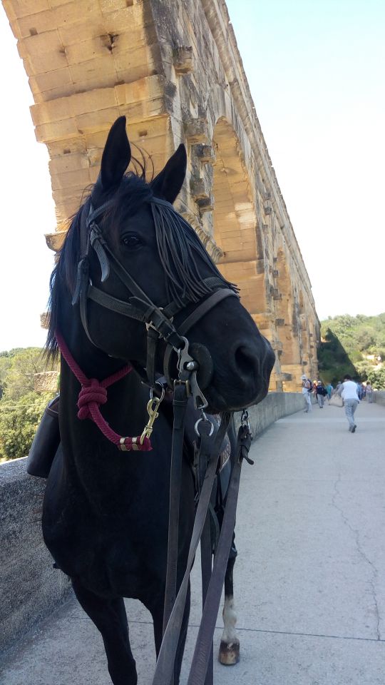 PENSION SOIN A CABRIERES 