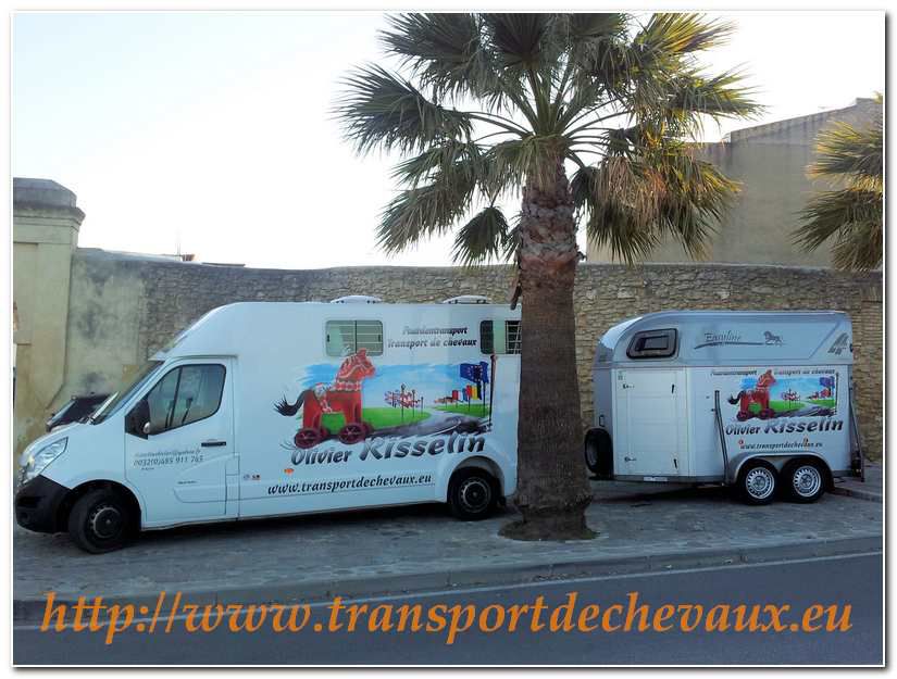TRANSPORT DE CHEVAUX TOUTES DESTINATIONS
