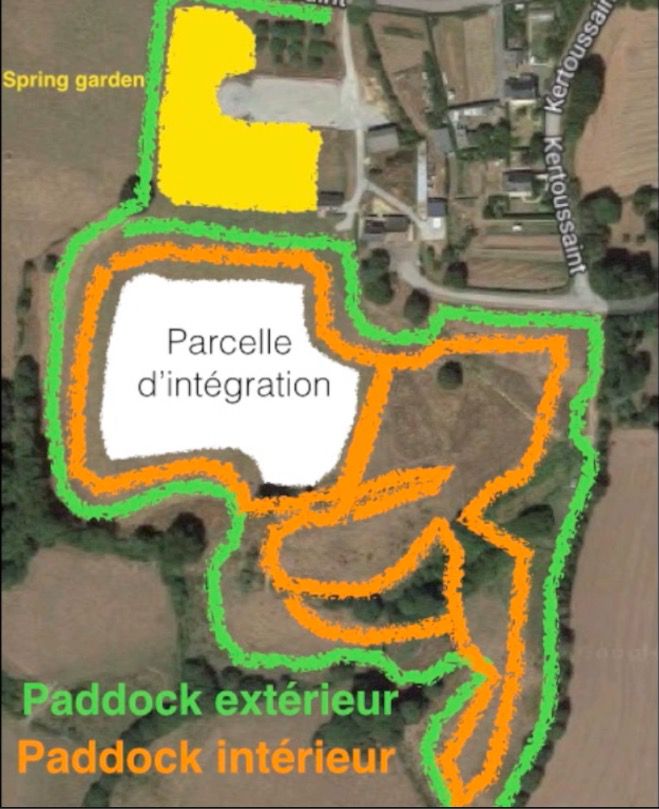Pension &eacute;qui-piste, travail chevaux, cours, stage
