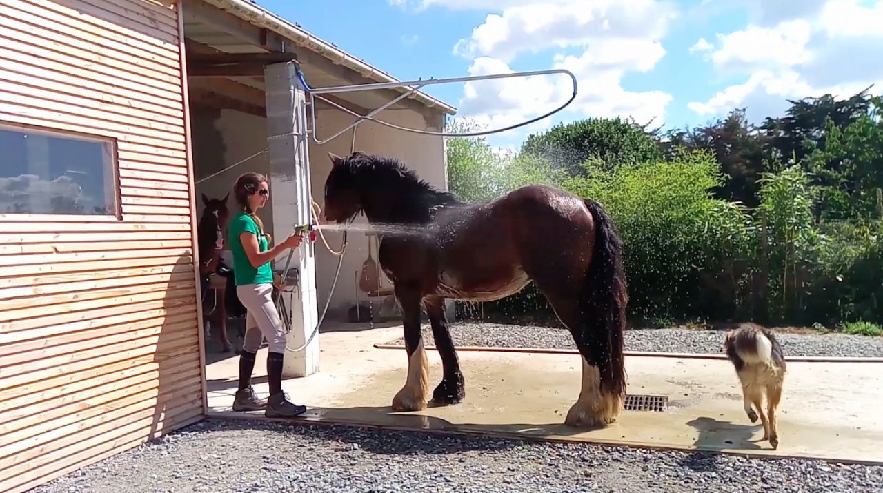 Pension &eacute;qui-piste, travail chevaux, cours, stage