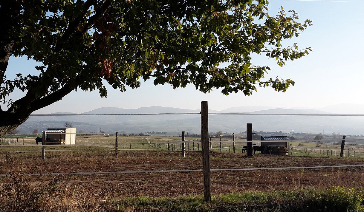 PENSION PR&Eacute; avec infrastructures 