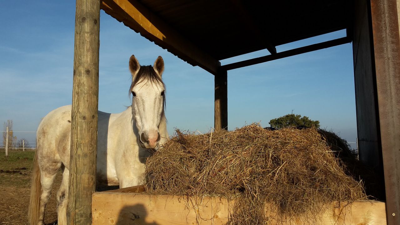 PENSION PR&Eacute; avec infrastructures 