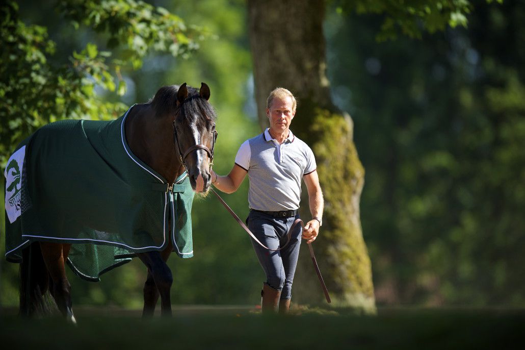 Casall - Holstein - 1999 - bai - 167cm