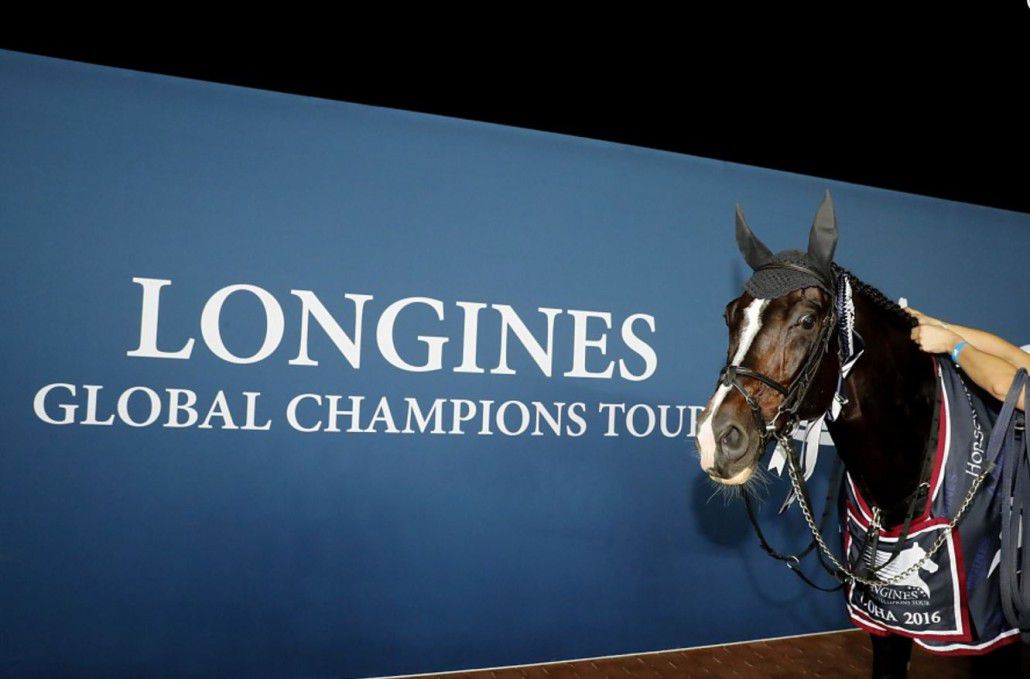 Casall - Holstein - 1999 - bai - 167cm