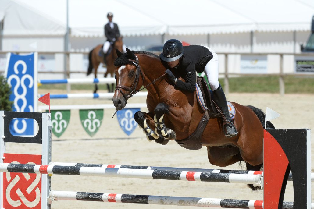 Ugo des Clas - PFS - 2008 - Bai - 150cm