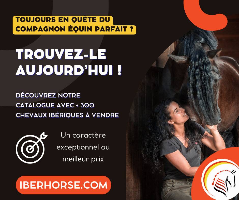 Transport chevaux Espagne > Europe