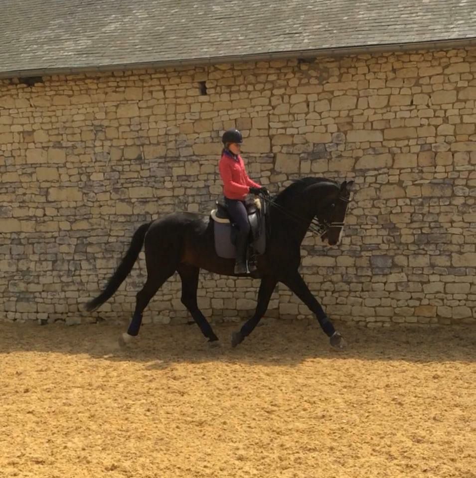 Zodjan J  - 2004 -  178cm