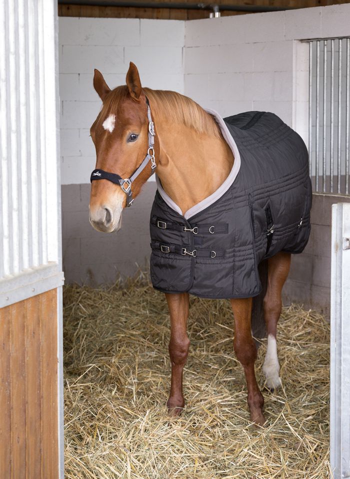 Pension chevaux - Ecurie du loti (67)